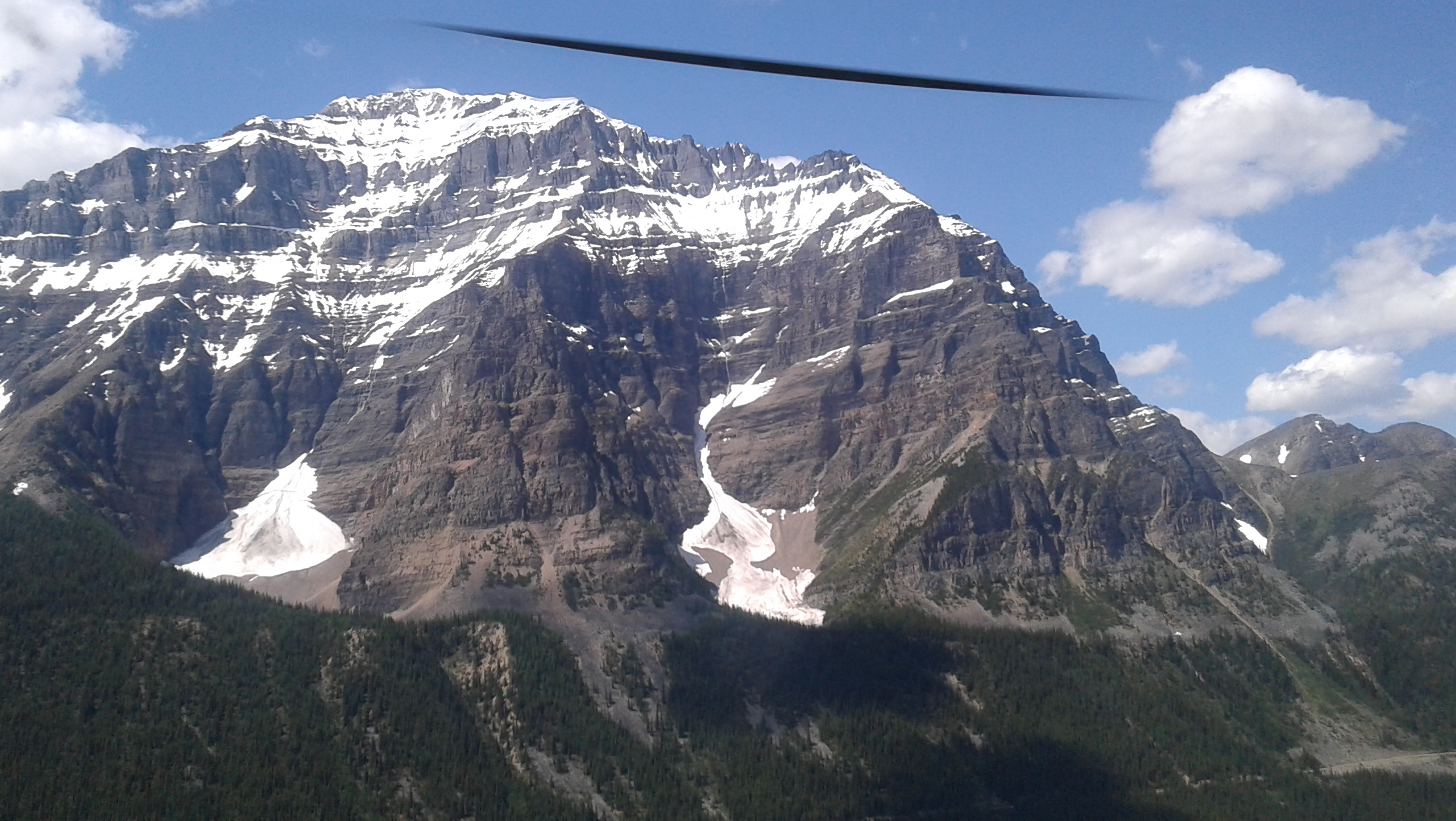 Observation photo 4