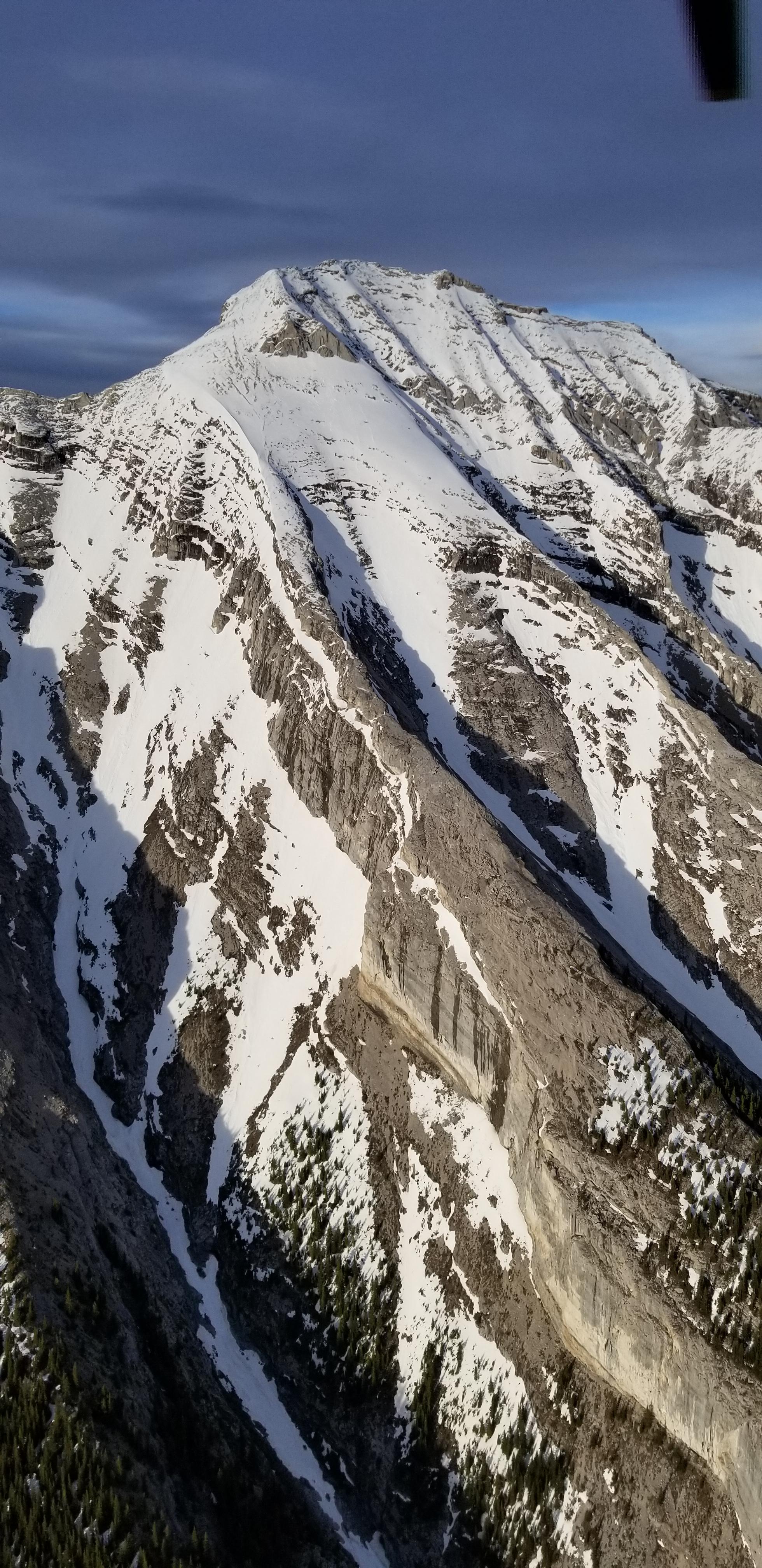 Observation photo 2
