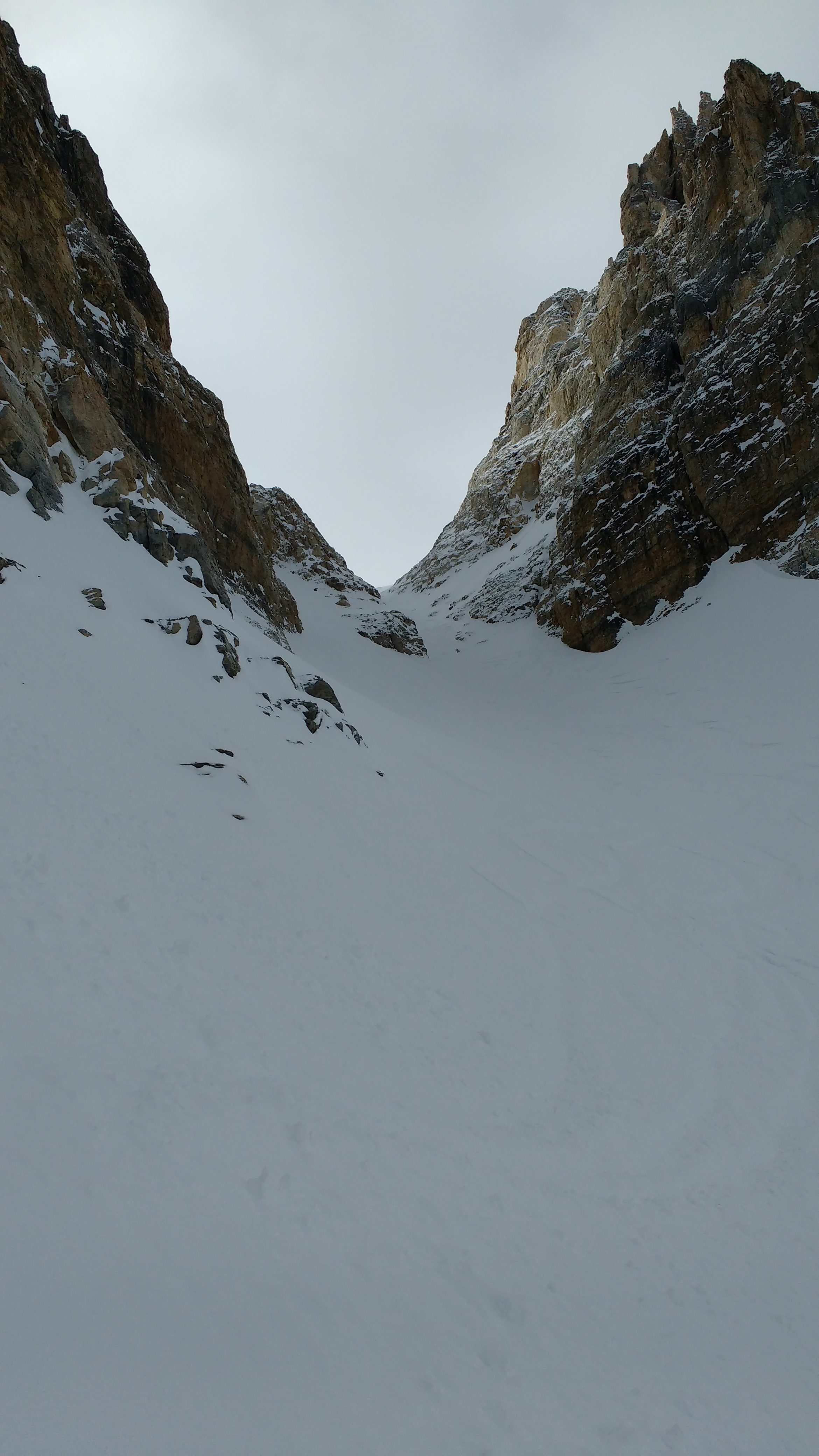 Observation photo 4