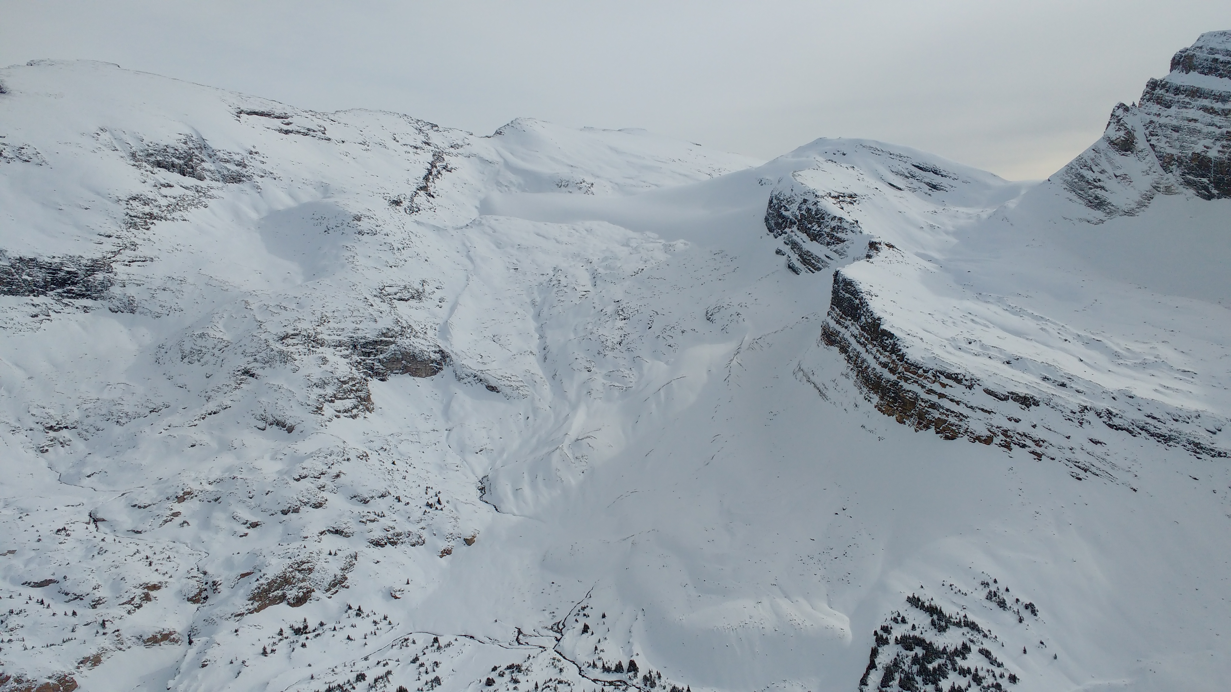 Observation photo 5