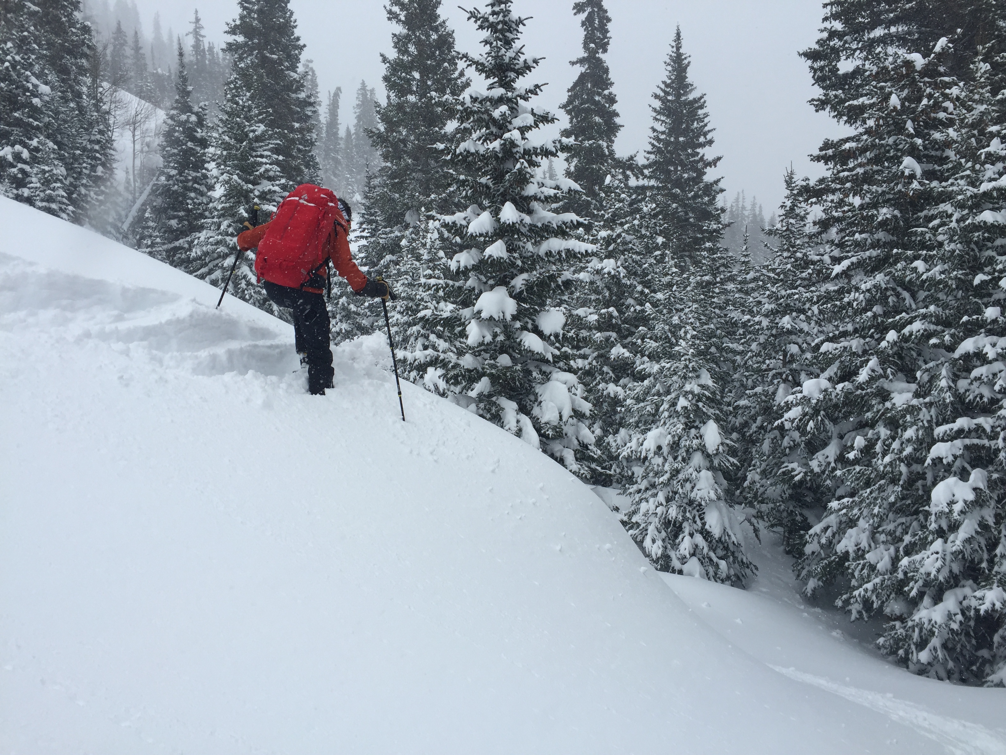 Ski Report, Ski Weather, Snow Conditions Worldwide 