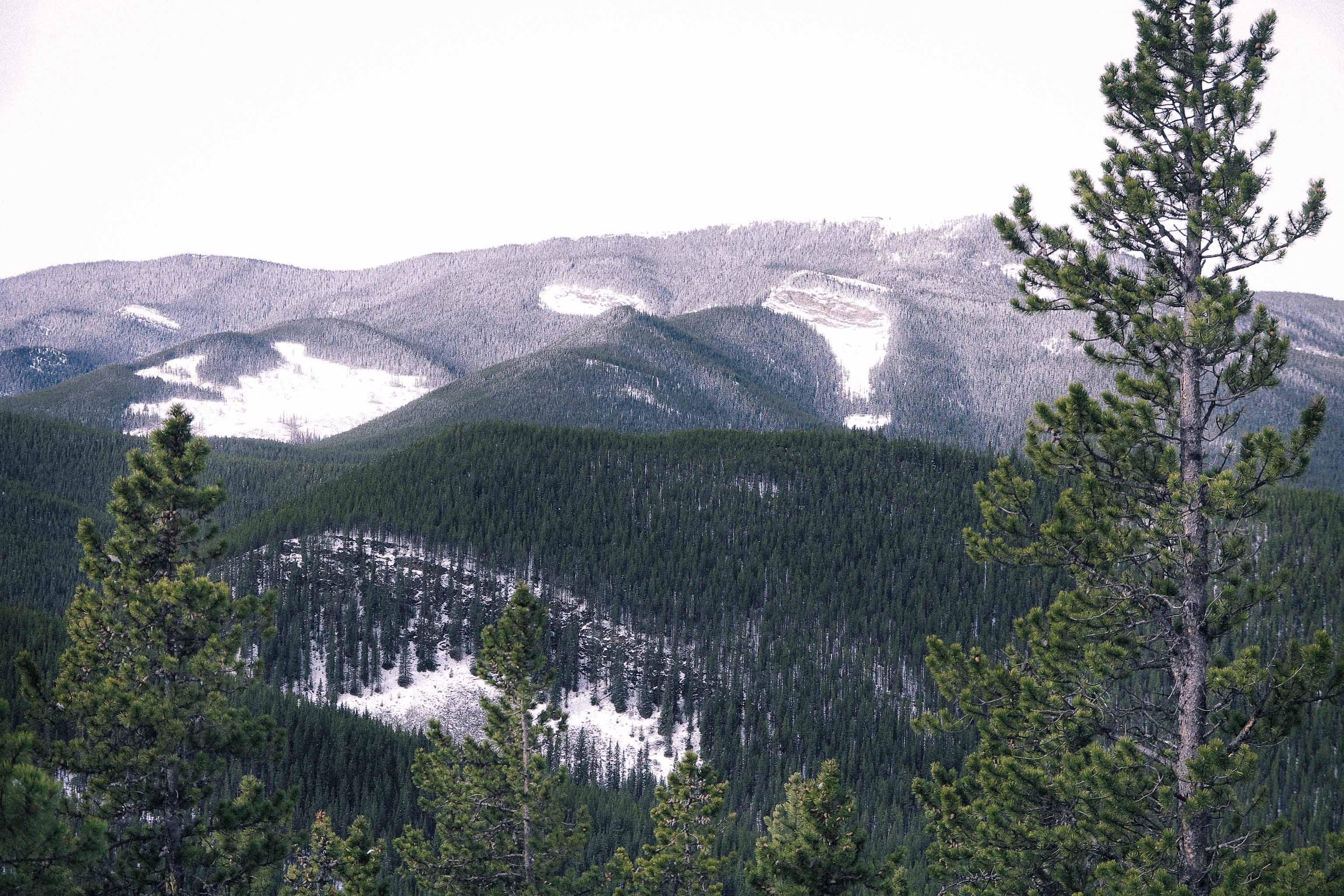 Observation photo 3