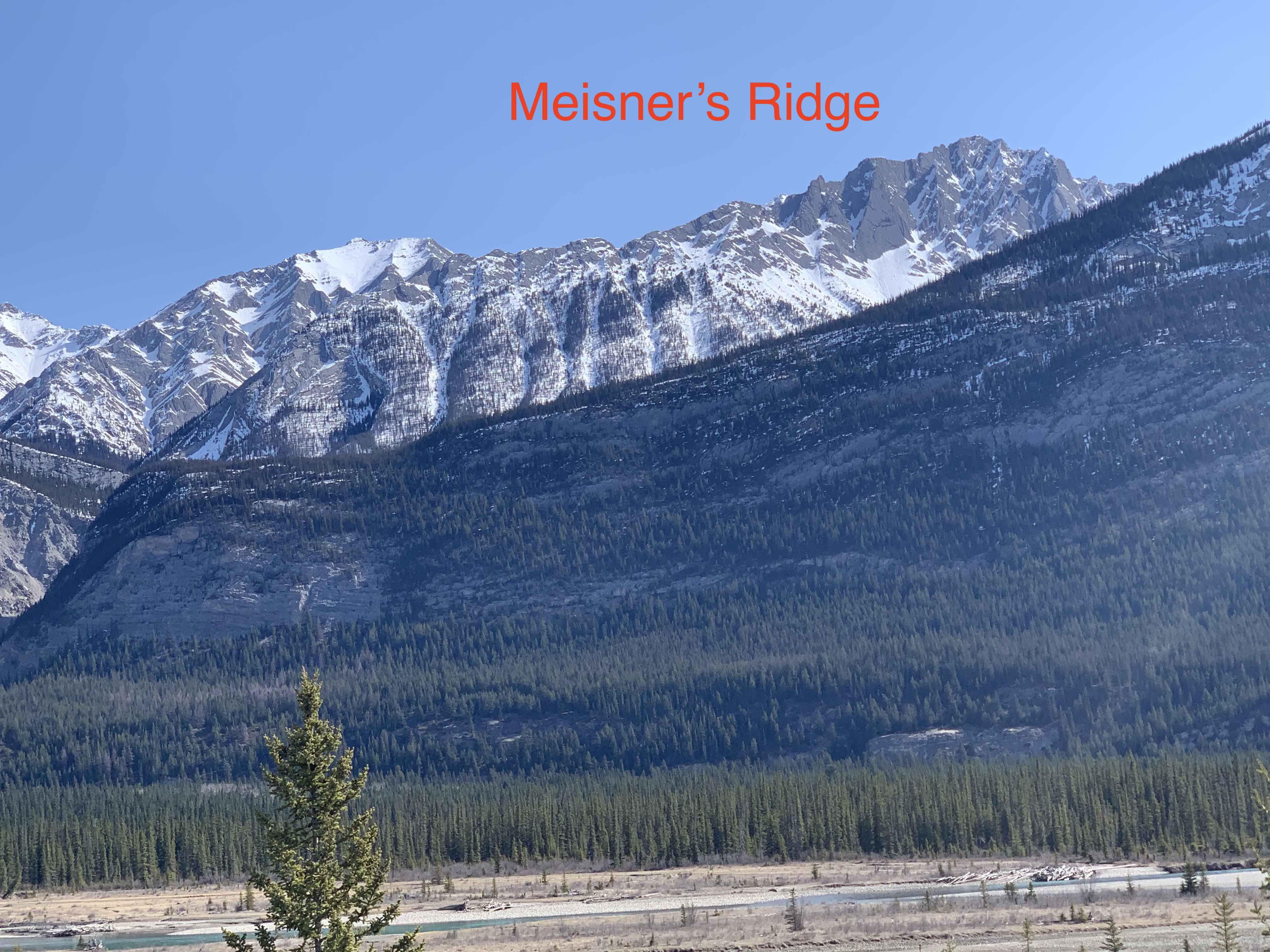 Observation photo 3
