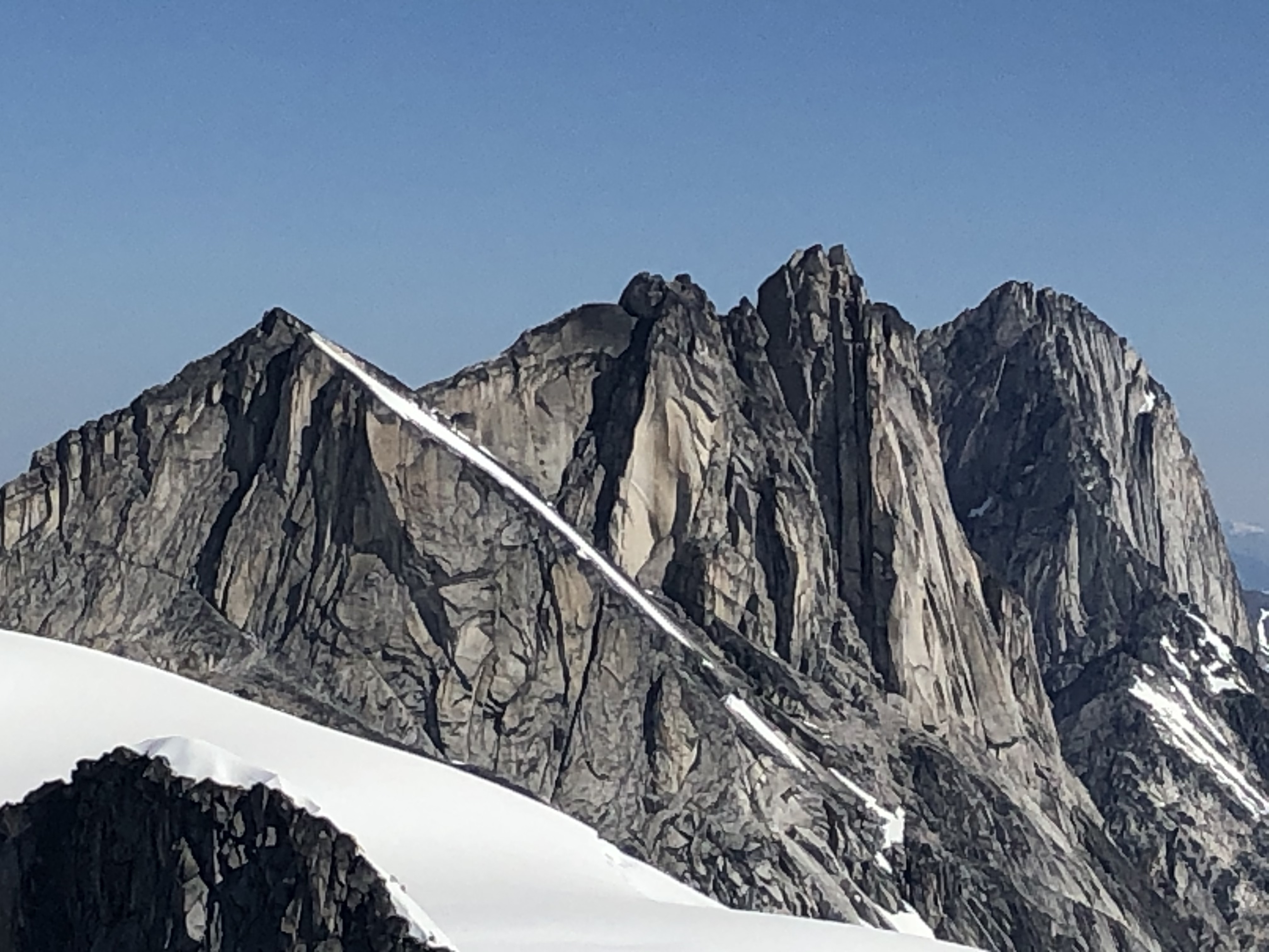 Observation photo 4